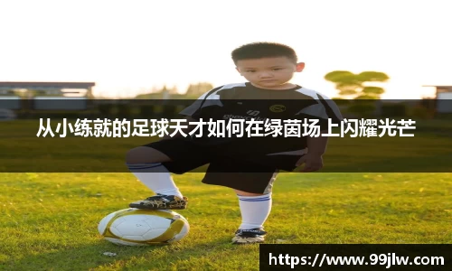 星空电竞电子平台